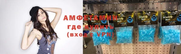 сатива Дмитровск