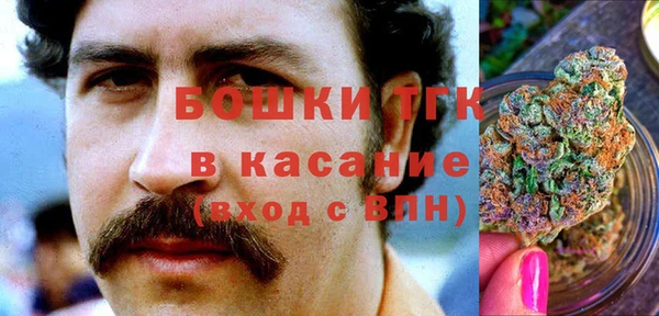 ПСИЛОЦИБИНОВЫЕ ГРИБЫ Кирс