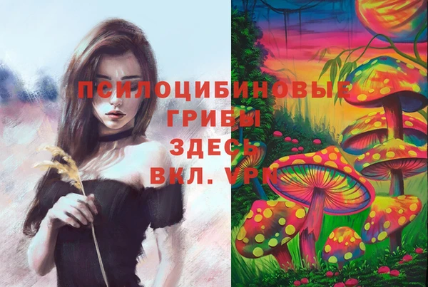 прущий лед Нефтекумск